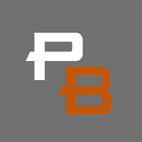 PunchBets Casino logo
