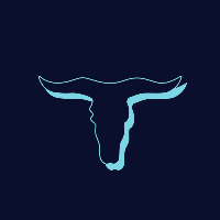 VegasPlay Casino logo