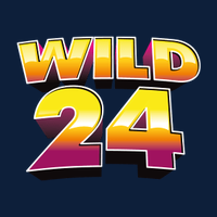 Wild 24 Casino logo