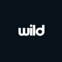 Wild Spins Casino logo