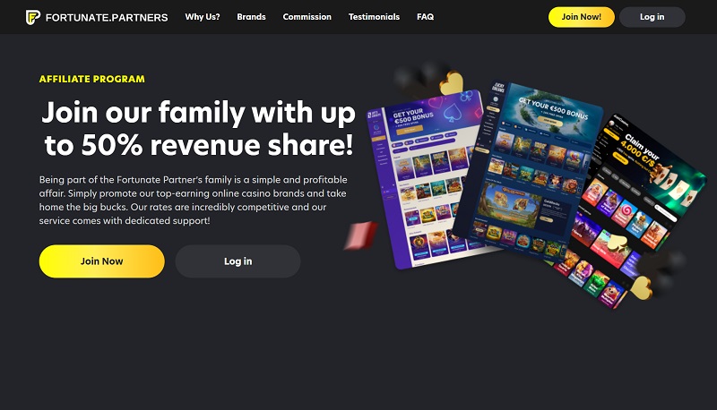 Fortunate Partners website & screenshot