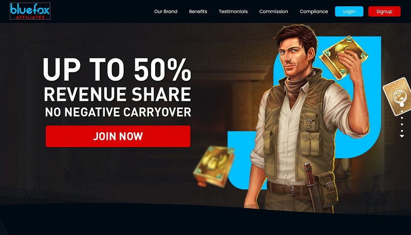 BlueFox Affiliates website & screenshot