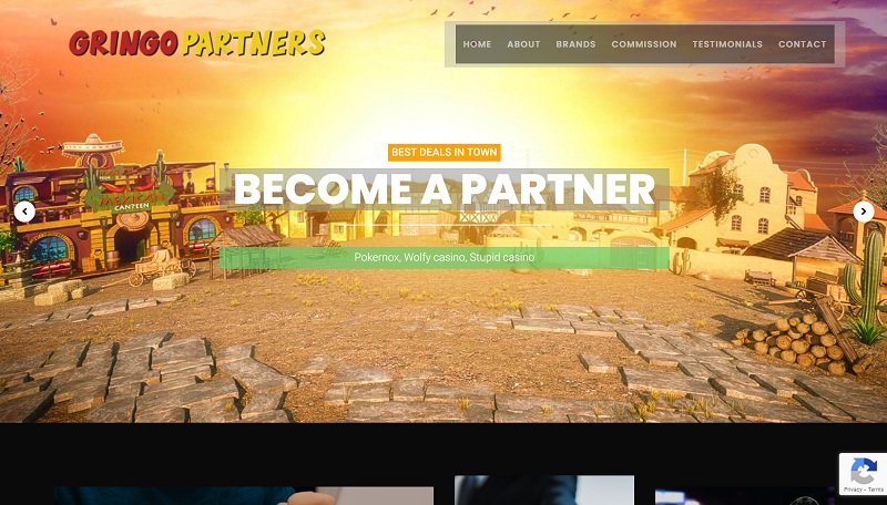 Gringo Partners website & screenshot