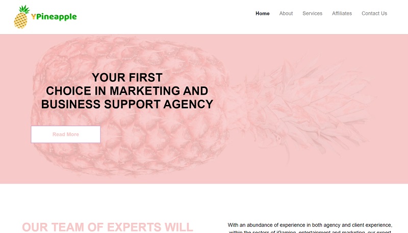 YPineapple website & screenshot