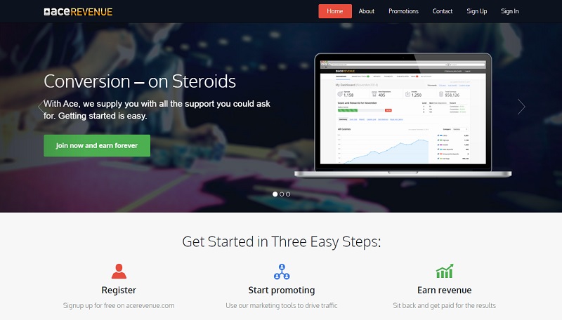 Ace Revenue website & screenshot