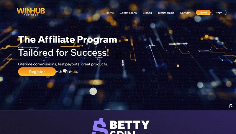 Winhub Partners website & screenshot