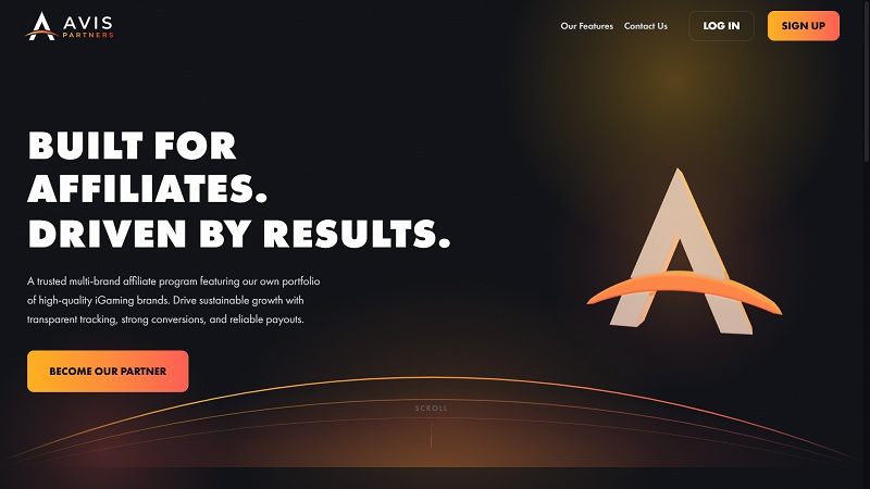 Avis Partners website & screenshot