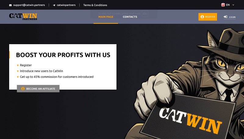 CatWin Partners website & screenshot