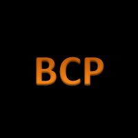 Best Casino Partner logo