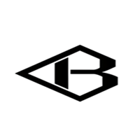 Brilliant Partners logo
