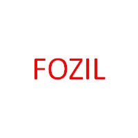 Fozil Partners logo