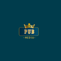 PubMedia Partners logo