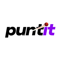 Puntit Partners logo