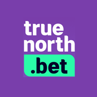 True North Affiliates logo